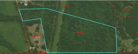 Unrestricted Timber Tract