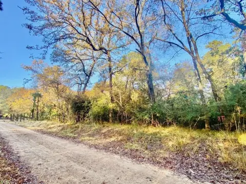 Interior Lake Lot in Crockett
