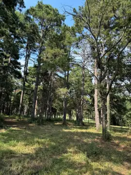 20+ Acre Tract in Appleby
