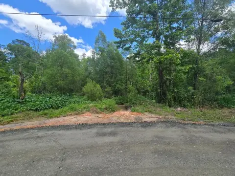 Unrestricted Wooded Land Parcel