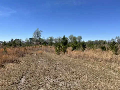 51.8 Acres Wooded Tract