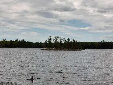 Robinson Lake Vacant Land