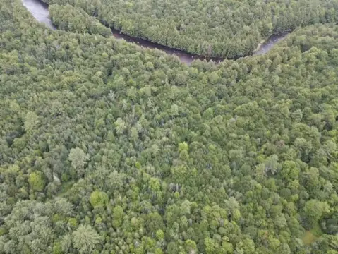 Waterfront Land with Creek Frontage
