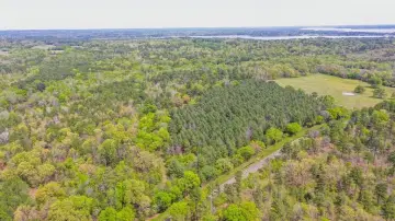 96-Acre Wooded Tract with Creek