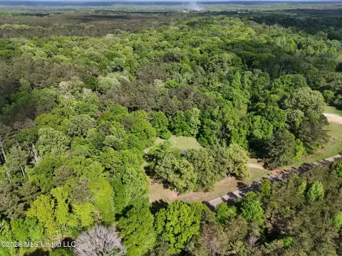 Land with Mature Timber