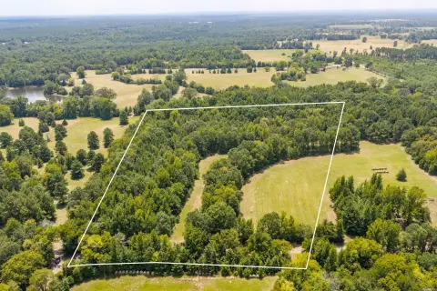 Wooded Hunting Land
