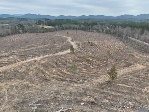 80 Acres in Cherokee County