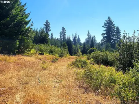 535-Acre Hunting Land