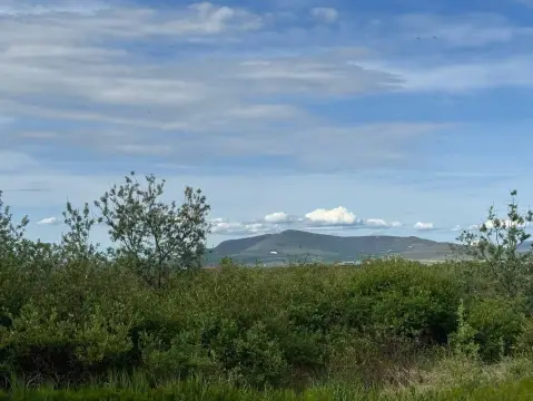 Industrial Land with River Access