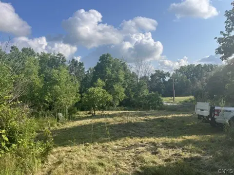 Wooded Hunting Land With Pond