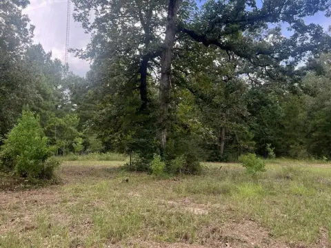 Unrestricted Land Parcel in East Texas