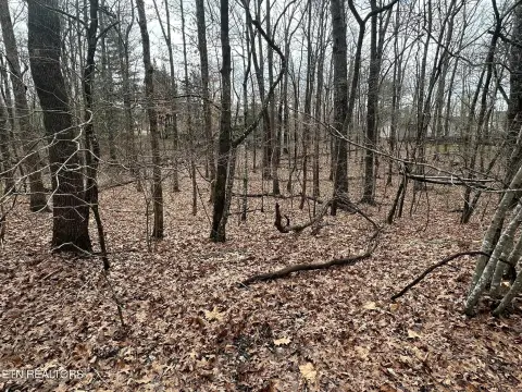 Fairfield Glade Land For Sale