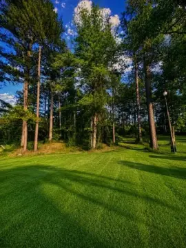 Partially Cleared Residential Lots