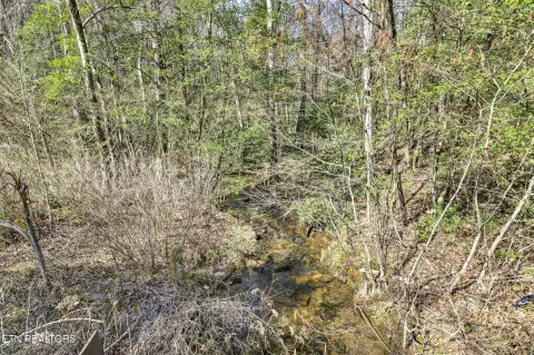 60 Acres in Cumberland County
