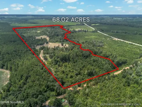 Hunting Land with Trail System