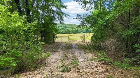 Open Pasture Land Tract
