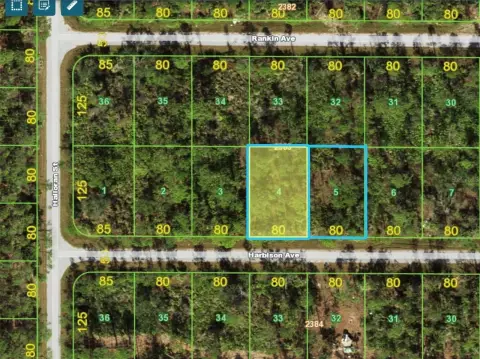 Buildable Lot Near Florida Beaches