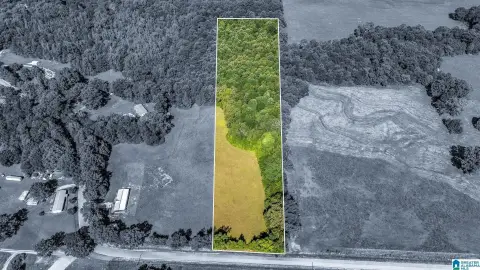 Build-Ready Hunting Acreage