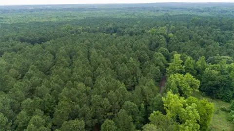 Timber Recreational Tract
