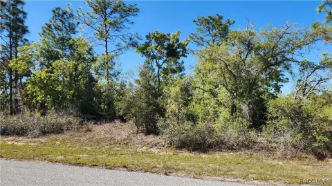 Corner Homesite in Citrus Springs