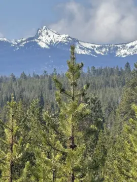 Crescent Lake Acreage with Views