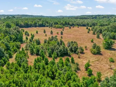 Fenced Agricultural Land with Creek