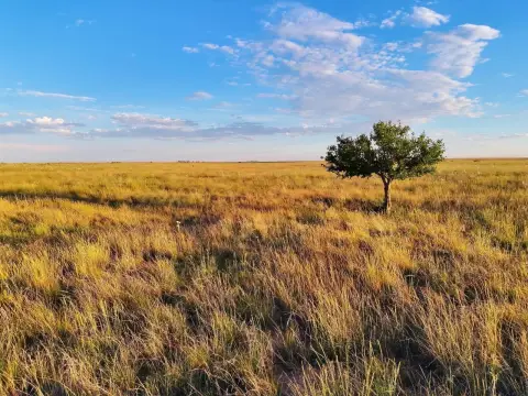 Agricultural Land with Wildlife Habitat