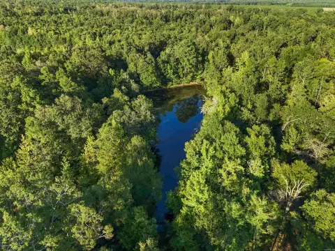 Timbered Hunting Land with Pond