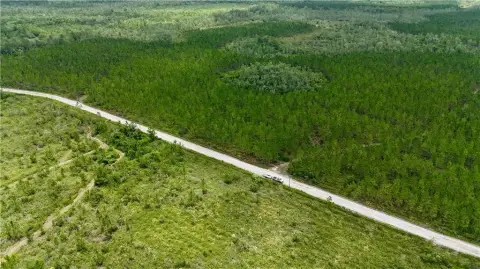 Ware County Hunting and Timber