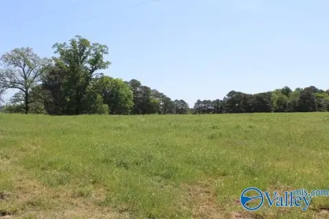 28.77 Acres Near Arab, AL