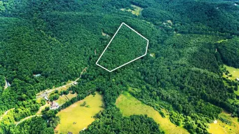 Wooded Agricultural Tract for Sale