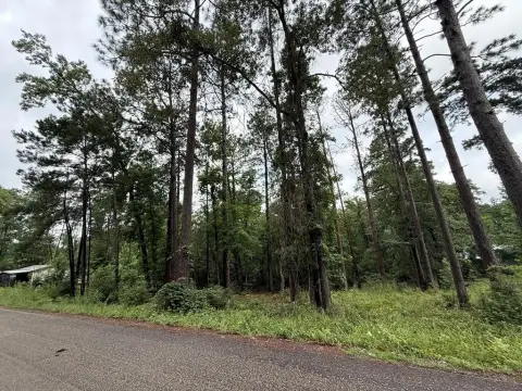 Residential Recreational Lot Near Lake