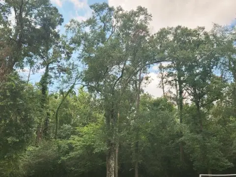 Wooded Development Land with Utilities