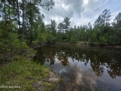 Land with Pond
