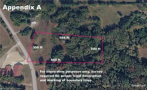 Ozark Land Near Mulberry River