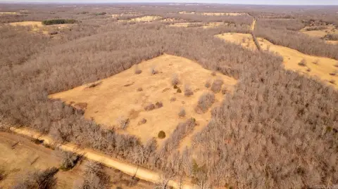 40 Acres in Northern Arkansas