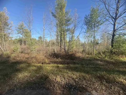 Recreation Land with Timber