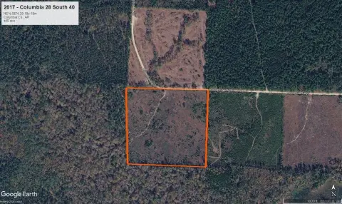 Pine Plantation Agricultural Land