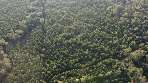 Hunting Land
