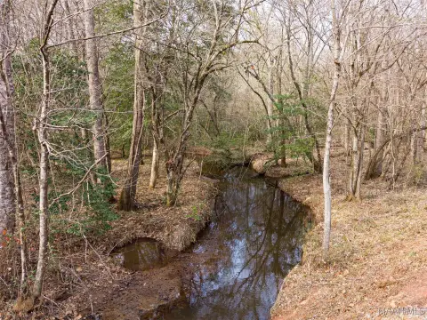 Timberland and Recreational Homesite Potential