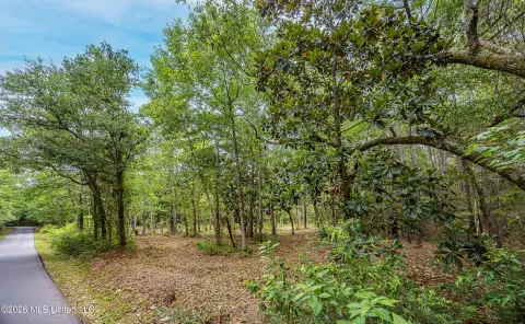 Secluded Acreage in Ocean Springs