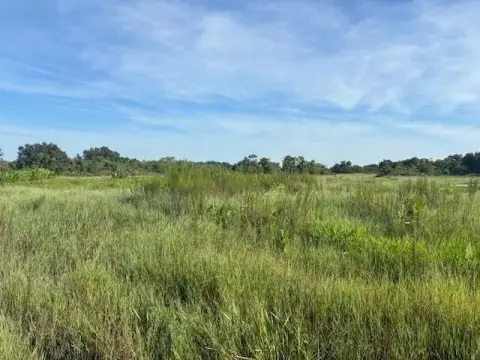 Okeechobee Land Near State Park