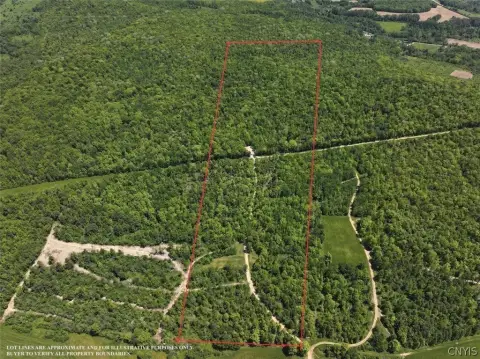 Wooded Hunting Land With Huts