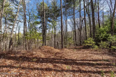 Sevierville Land with Mountain Views