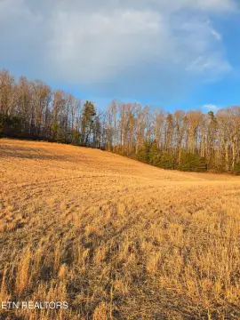 Unrestricted Land in Sharps Chapel