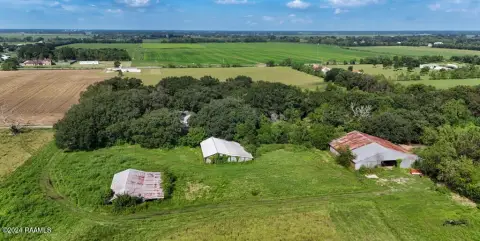 Cattle Farm with Barns