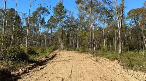 Conservation and Hunting Land Tract