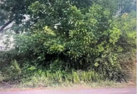 Dallas Land Near Trinity River