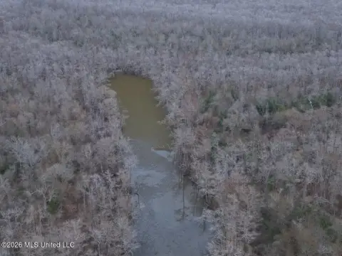 Hardwood Hunting Tract on River