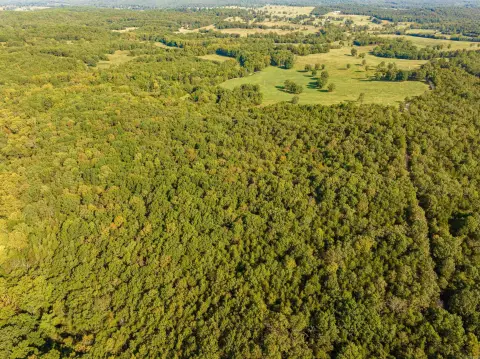 Wooded Acreage in Evening Shade